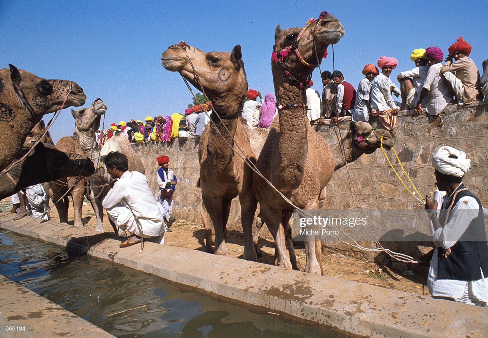 Camel Fair Pushkar